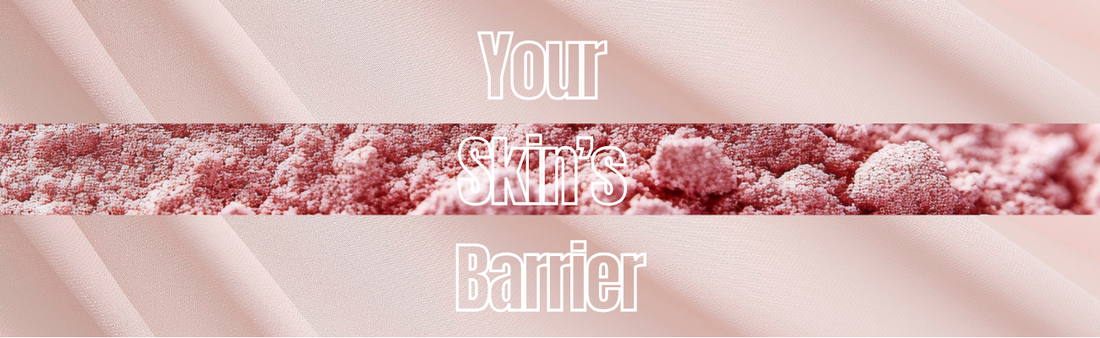 Skin Barrier Repair Explained. Why Ceramides Matter More Than You Think