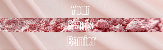 Skin Barrier Repair Explained. Why Ceramides Matter More Than You Think